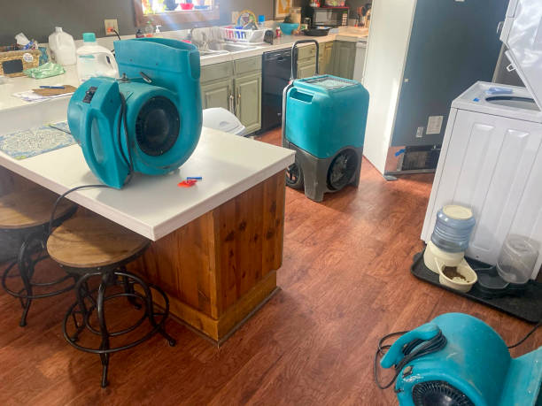 Best Flooded house restoration  in Cottage City, MD