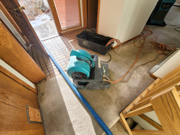 Best Carpet water damage restoration  in Cottage City, MD