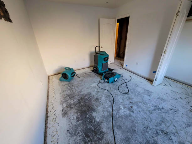 Best Fire Damage Restoration  in Cottage City, MD