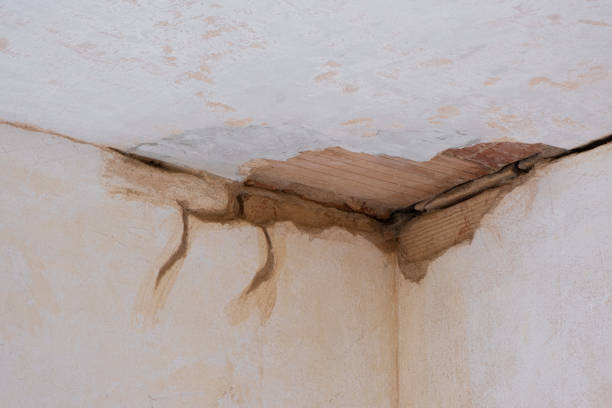 Best Water damage cleanup near me  in Cottage City, MD