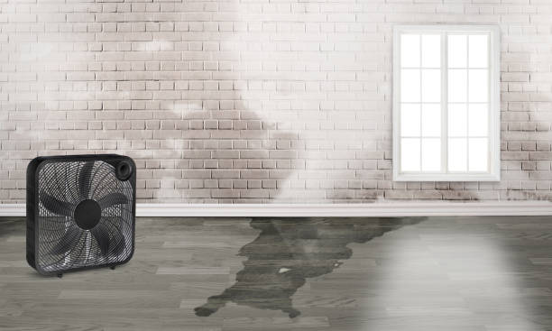 Best Commercial water damage restoration  in Cottage City, MD