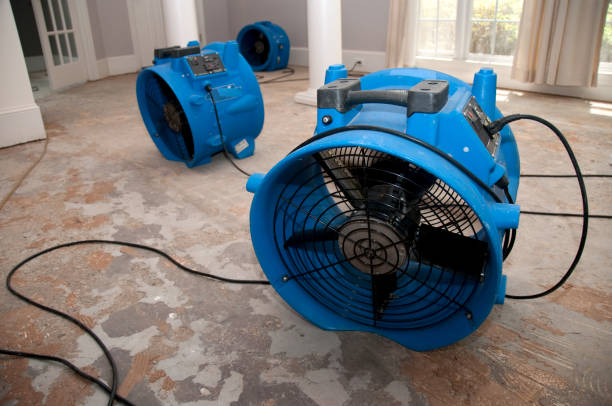 Best Water damage restoration near me  in Cottage City, MD