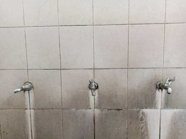 Best Basement water damage restoration  in Cottage City, MD