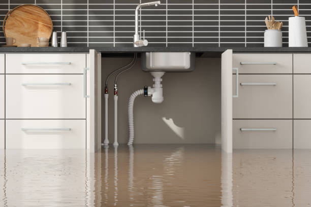 Best Local water damage restoration  in Cottage City, MD