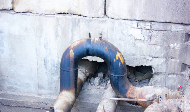 Best Water damage repair service  in Cottage City, MD