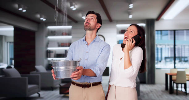 Best Flood damage cleanup  in Cottage City, MD