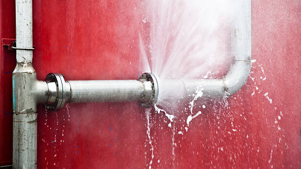 Best Mold removal after water damage  in Cottage City, MD